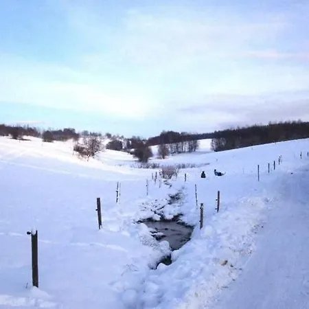 Ferienhaus Comfortable Holiday In Near Horse Riding *