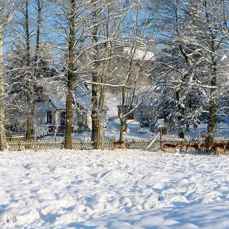 Comfortable Holiday In Near Horse Riding Ferienhaus *